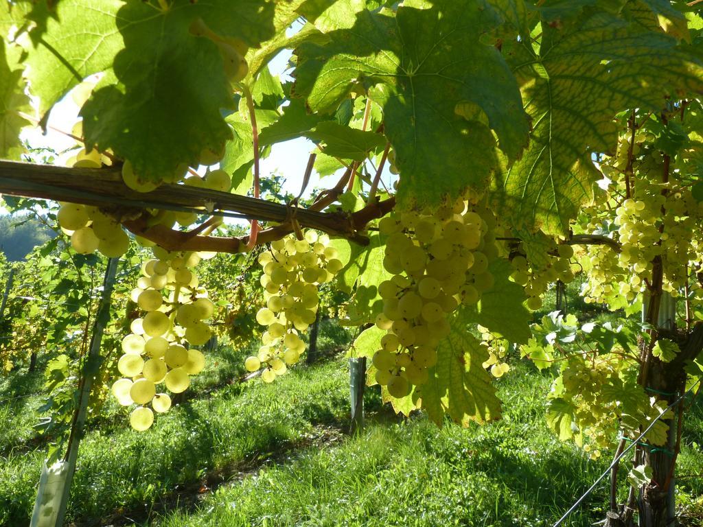 Weingut- Gaestezimmer Marko Leutschach Zewnętrze zdjęcie