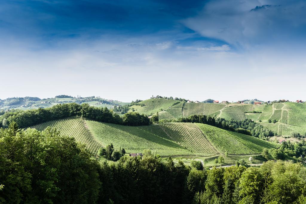 Weingut- Gaestezimmer Marko Leutschach Zewnętrze zdjęcie