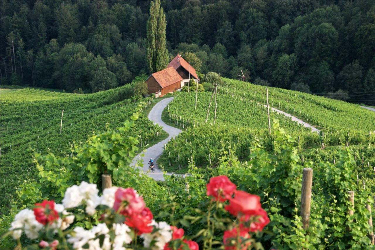 Weingut- Gaestezimmer Marko Leutschach Zewnętrze zdjęcie