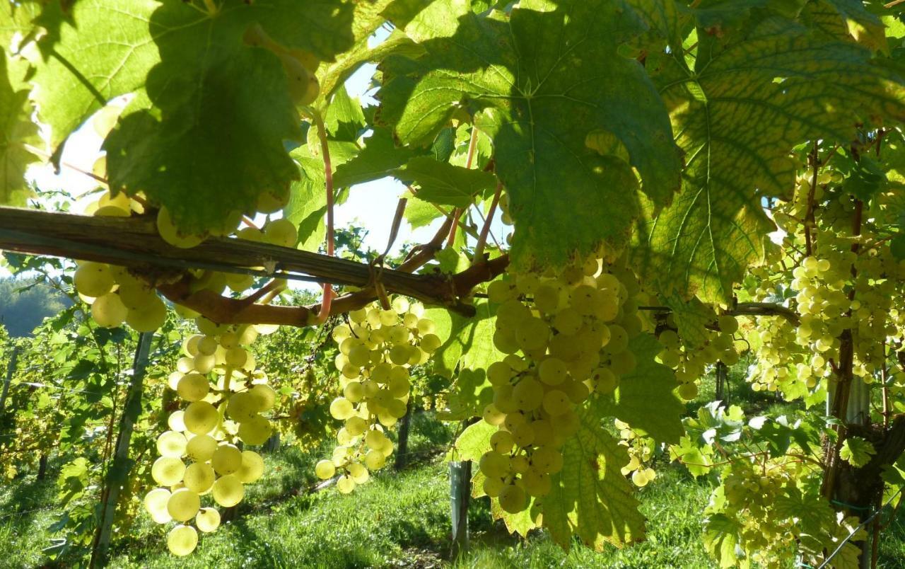 Weingut- Gaestezimmer Marko Leutschach Zewnętrze zdjęcie