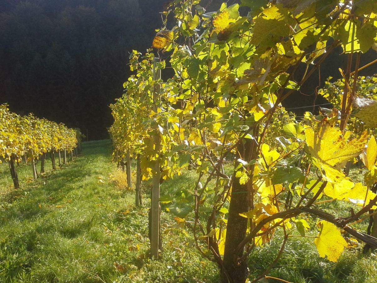 Weingut- Gaestezimmer Marko Leutschach Zewnętrze zdjęcie